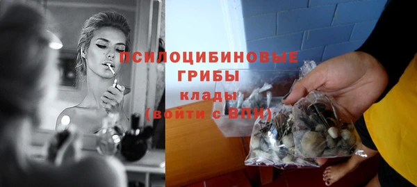 MDMA Няндома