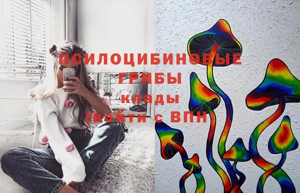 MDMA Няндома