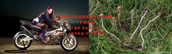 круглые Нязепетровск
