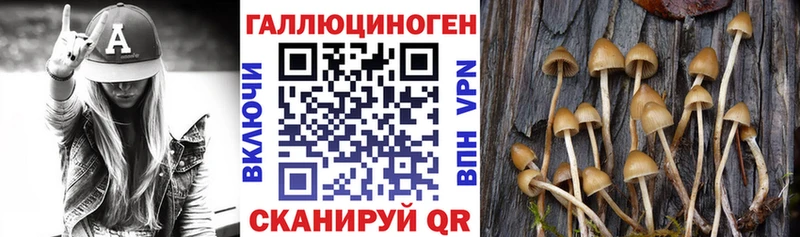 Купить закладки  Избербаш  Галлюциногенные грибы прущие грибы 